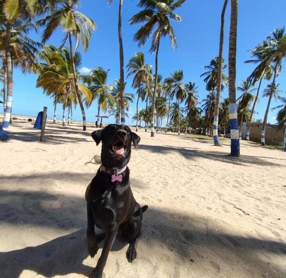 بنسيون Casa Flor Hostel & Drinks