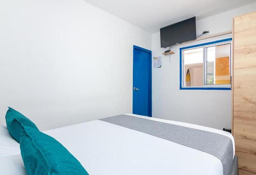 بنسيون Casa Flor Hostel & Drinks