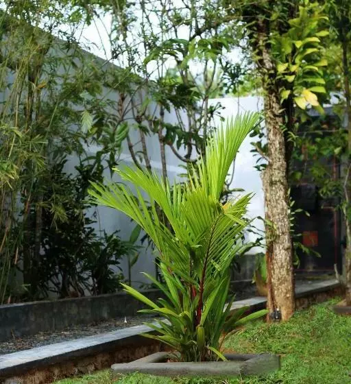 ペンション Triple Edge Villa