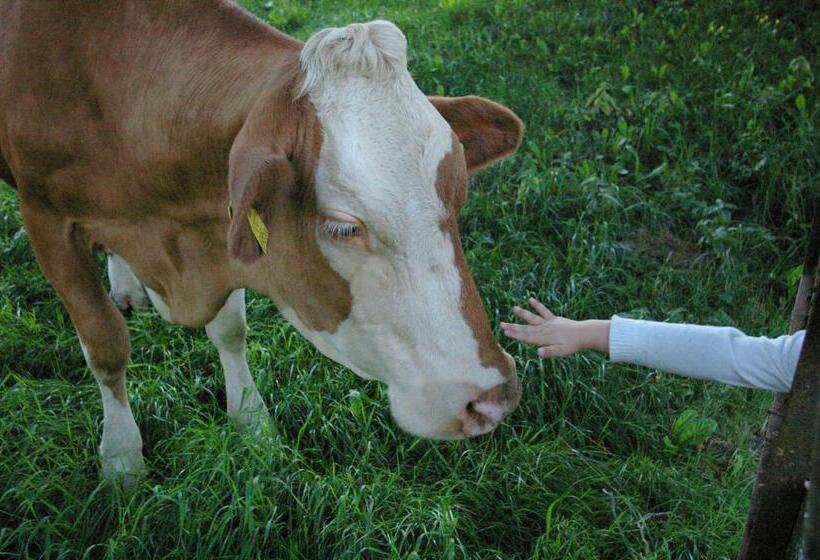 Bio Bauernhof Rettenbachgut