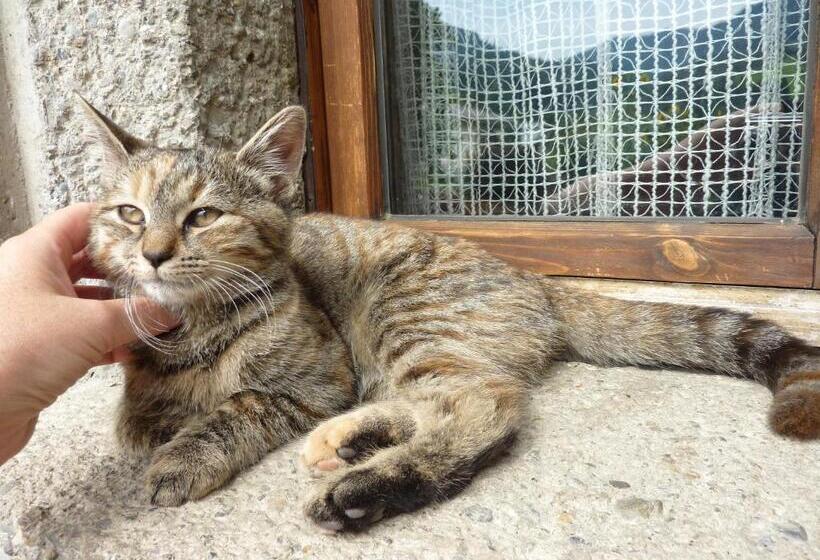 Bio Bauernhof Rettenbachgut