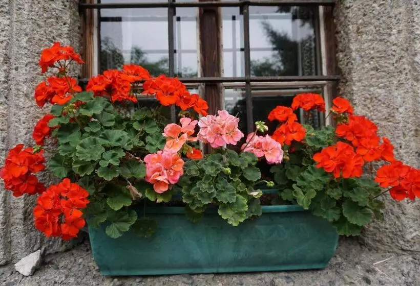 Bio Bauernhof Rettenbachgut