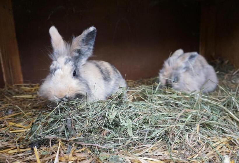 Bio Bauernhof Rettenbachgut