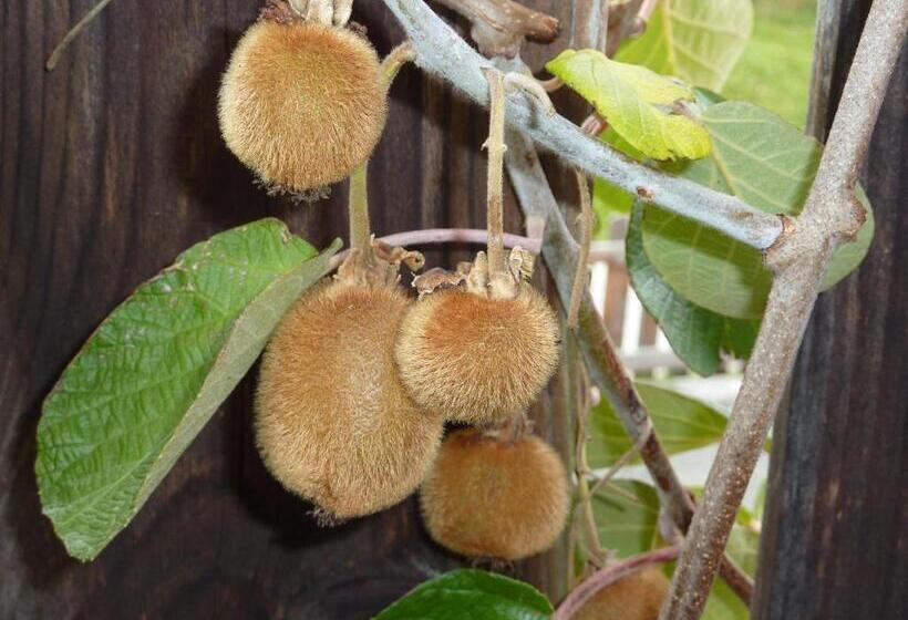 Bio Bauernhof Rettenbachgut