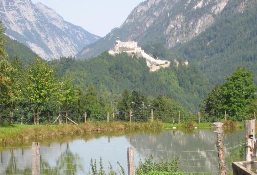 Bio Bauernhof Rettenbachgut