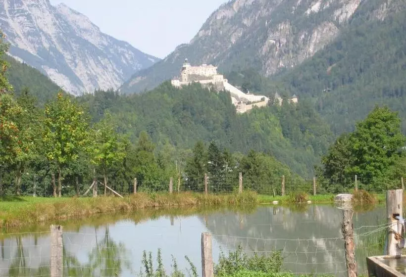 Bio Bauernhof Rettenbachgut