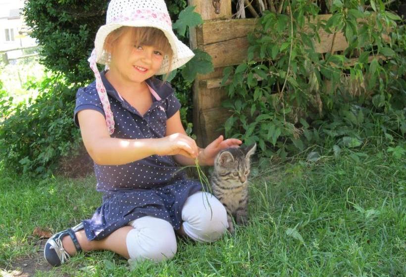 Bio Bauernhof Rettenbachgut