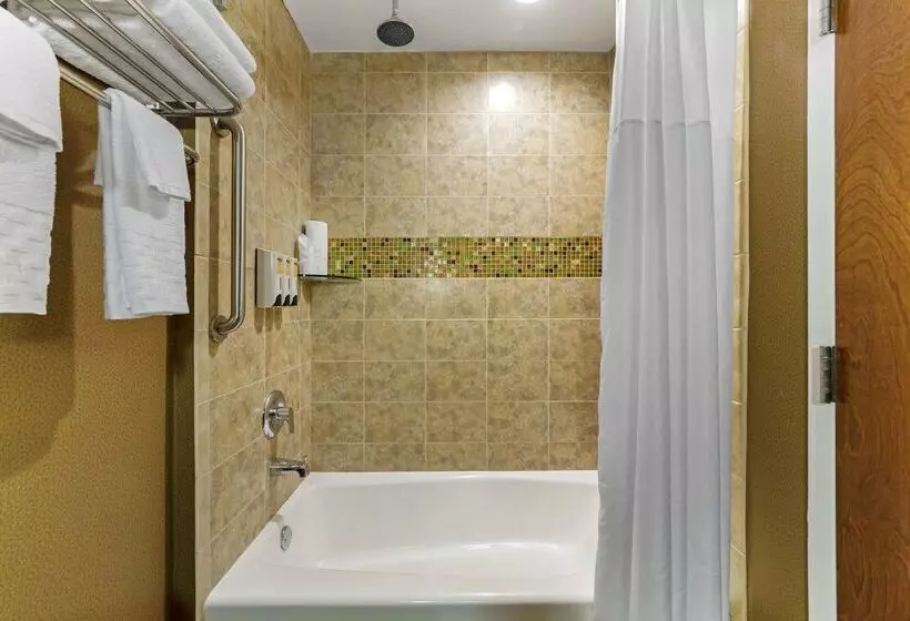 Best Western Plus Miami Executive Airport Hotel And Suites