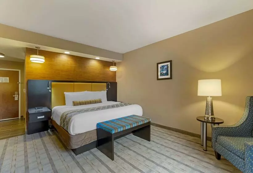 Best Western Plus Miami Executive Airport Hotel And Suites