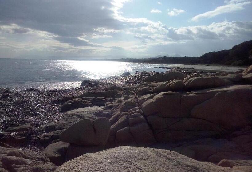 בית מלון כפרי Villa Campana