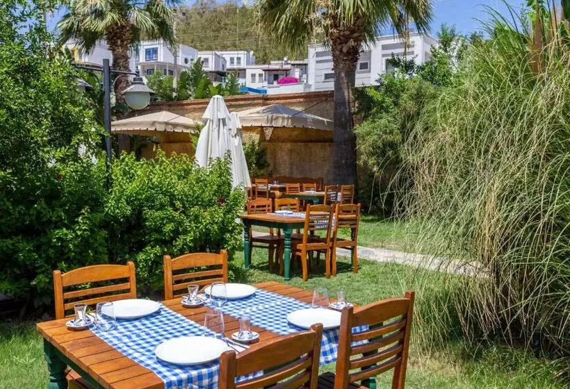 Отель La Brezza Suite &