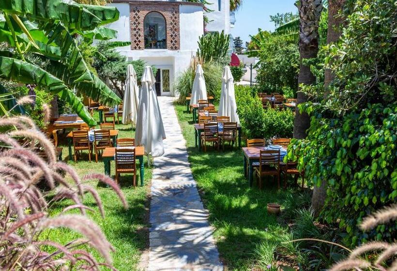 בית מלון כפרי La Brezza Suite &