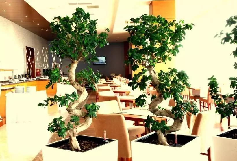 ホテル Orucoglu Oreko