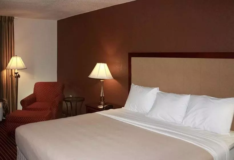 Hotelli Rodeway Inn Kingsland