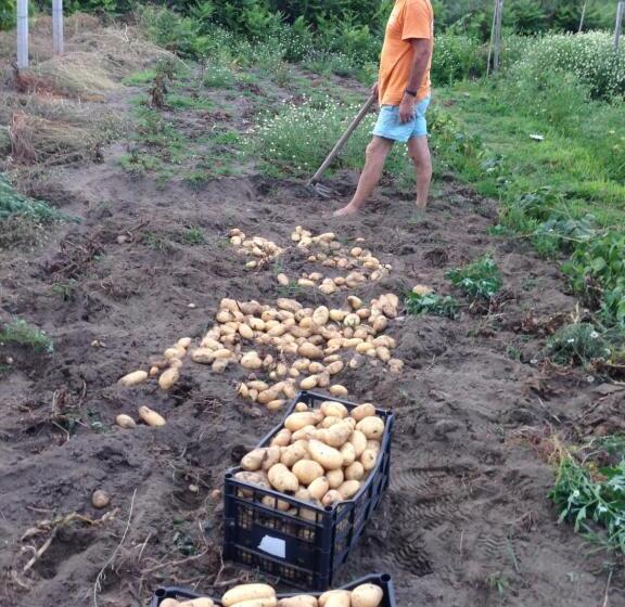 B&b Al Salvatore Di Lipari