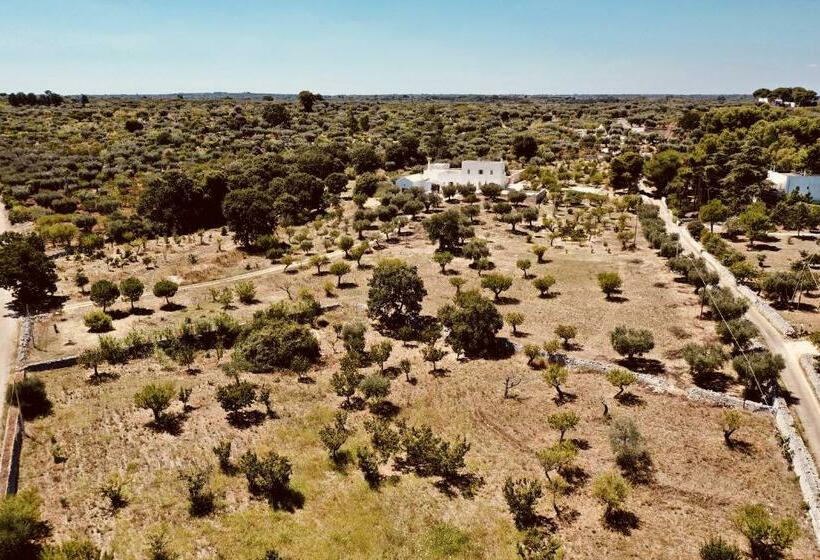 تختخواب و صبحانه Masseria Fenicia