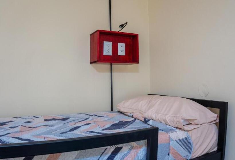 住宿加早餐  Steve S House