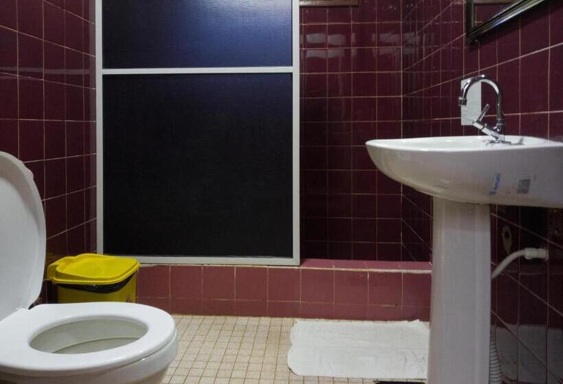 住宿加早餐  Steve S House