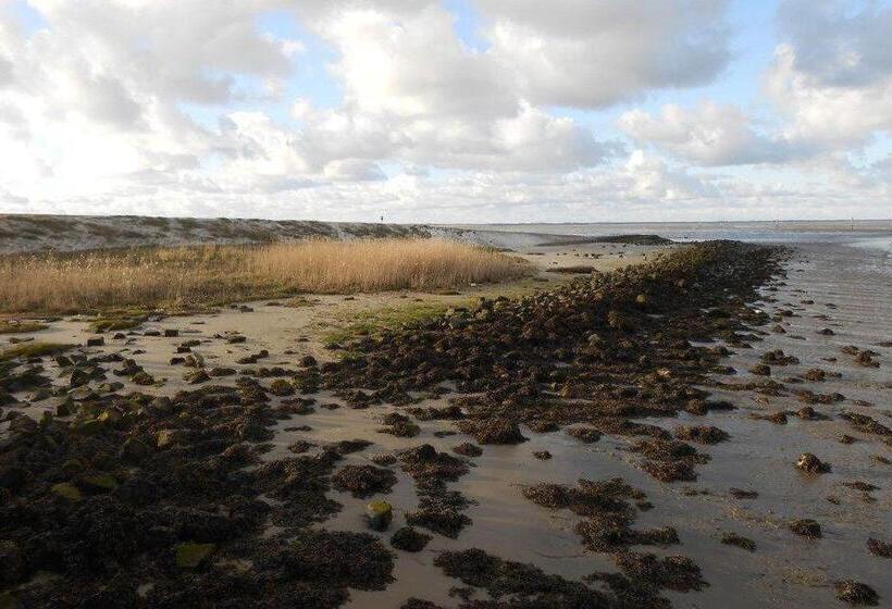 Ferienhaus Wiesenpieper