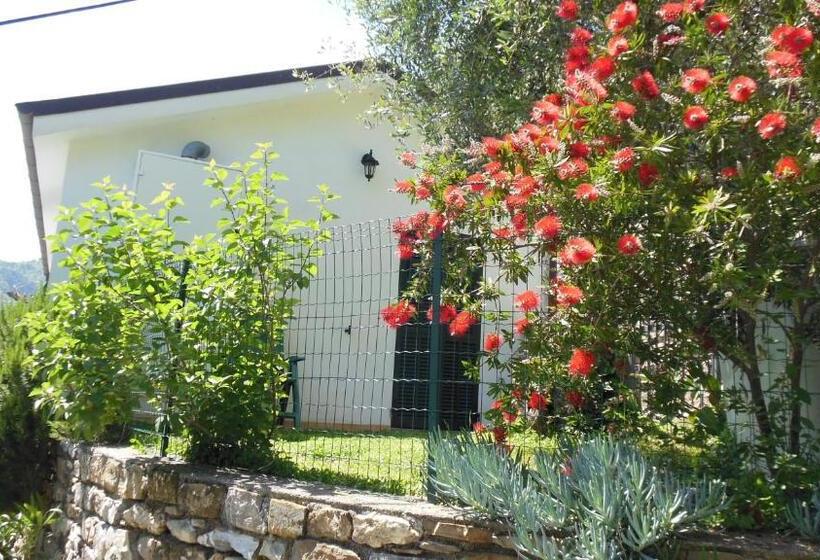 בית מלון כפרי Uliveto