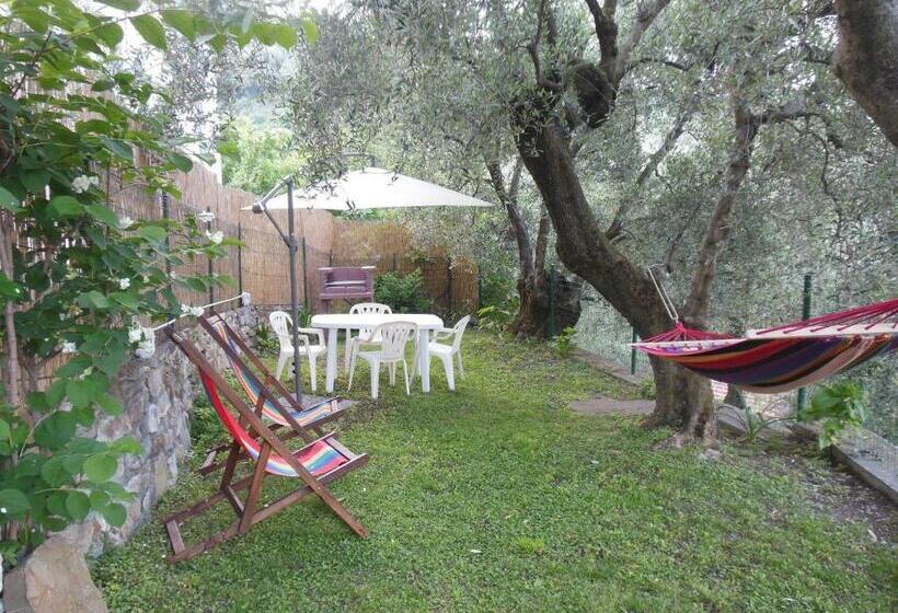 בית מלון כפרי Uliveto