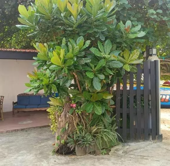 هاستل Yes Beach House