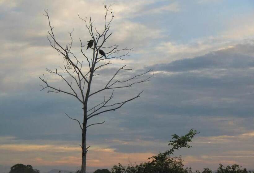 פנסיון Ranith Villa In Tangalle, Sri Lanka