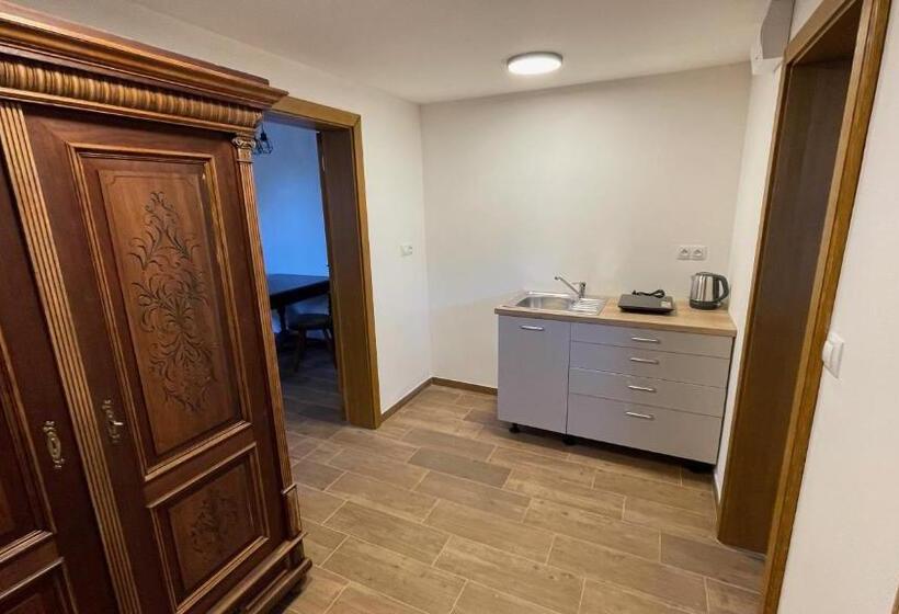 旅馆 Penzion Pod Devítkou