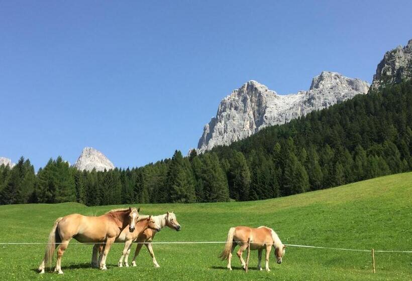 Casa Rosetta Nel Cuore Delle Dolomiti