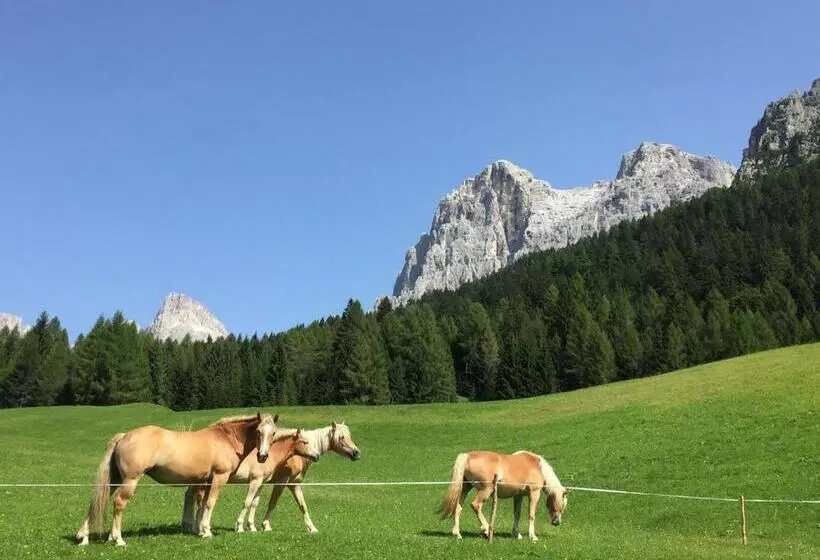 Casa Rosetta Nel Cuore Delle Dolomiti