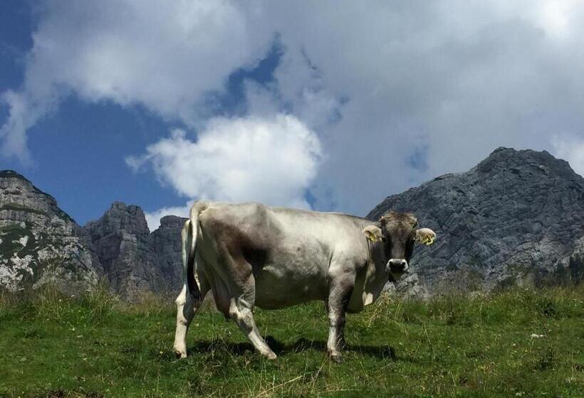 Casa Rosetta Nel Cuore Delle Dolomiti