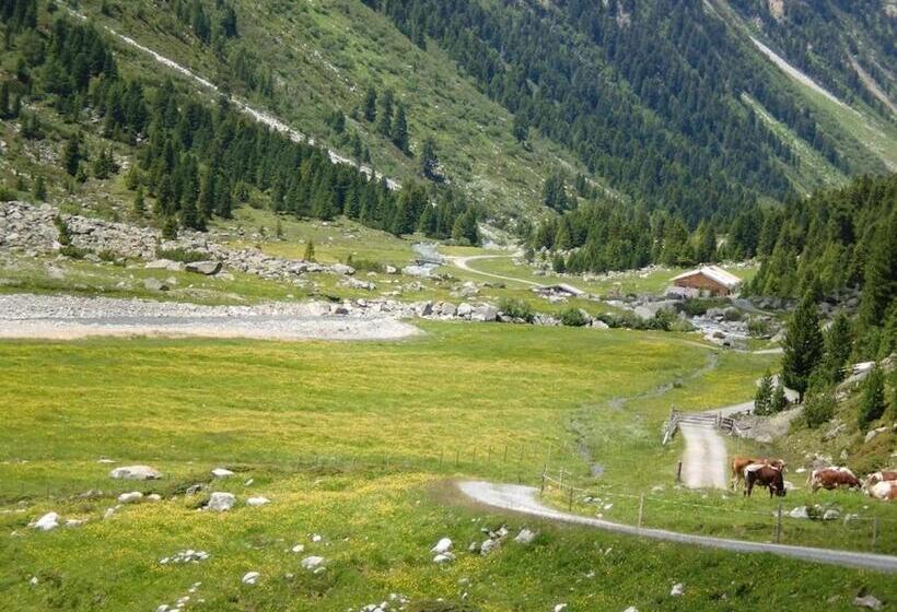 Ferienhaus Obersäuling Im Sommer