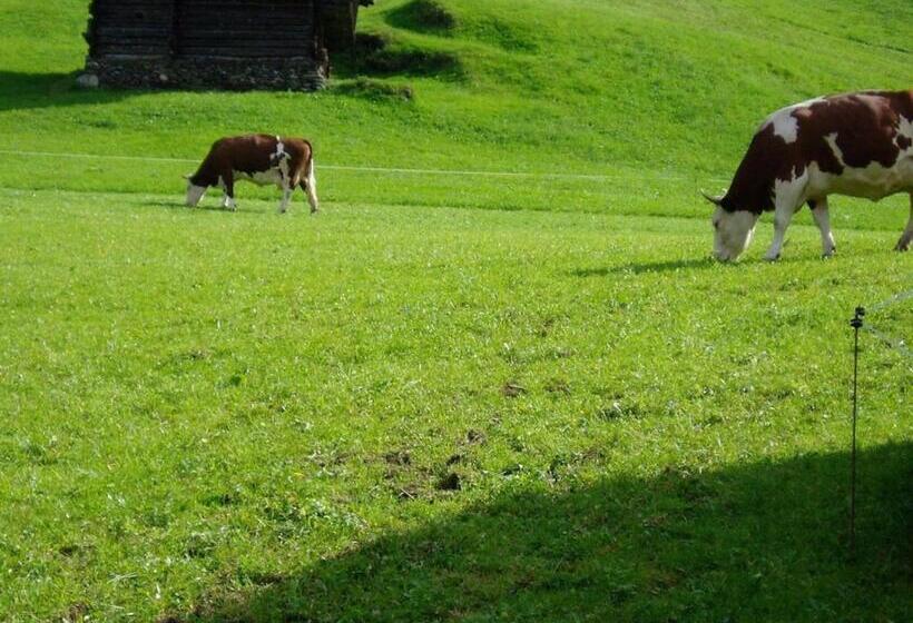 Ferienhaus Obersäuling Im Sommer