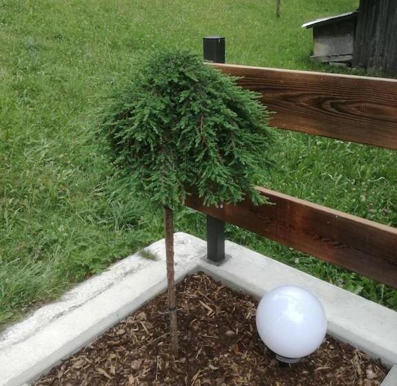 Ferienhaus Obersäuling Im Sommer