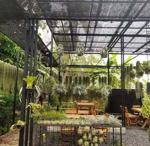 ホテル ทิลแลนด์เซีย รีสอร์ท