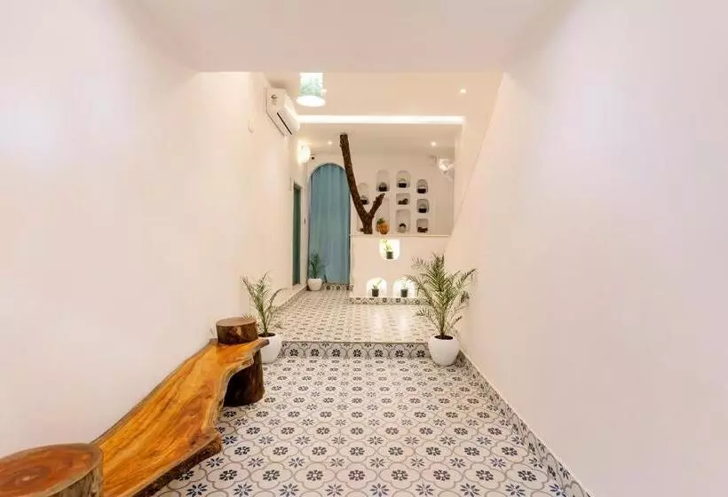 ベッドアンドブレックファースト Moustache Udaipur Luxuria