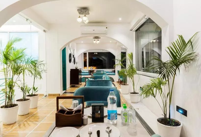 ベッドアンドブレックファースト Moustache Udaipur Luxuria