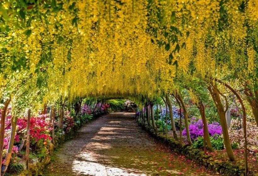 Idlewild Animal Sanctuary Farmhouse Stay   Charity