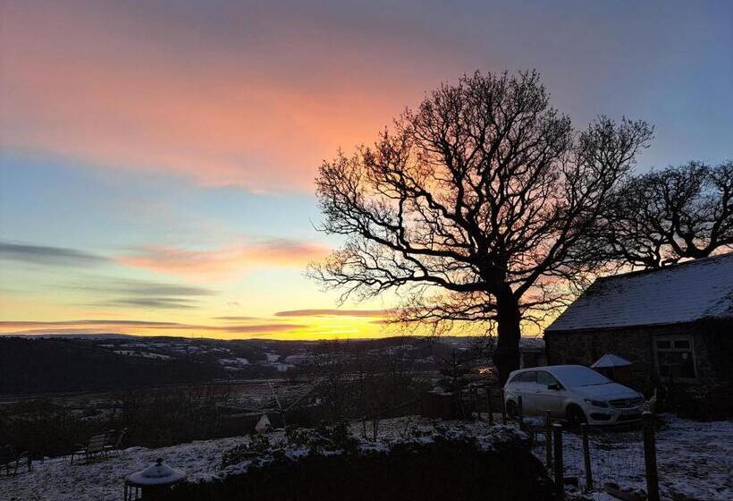 Idlewild Animal Sanctuary Farmhouse Stay   Charity