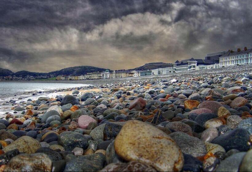 Idlewild Animal Sanctuary Farmhouse Stay   Charity