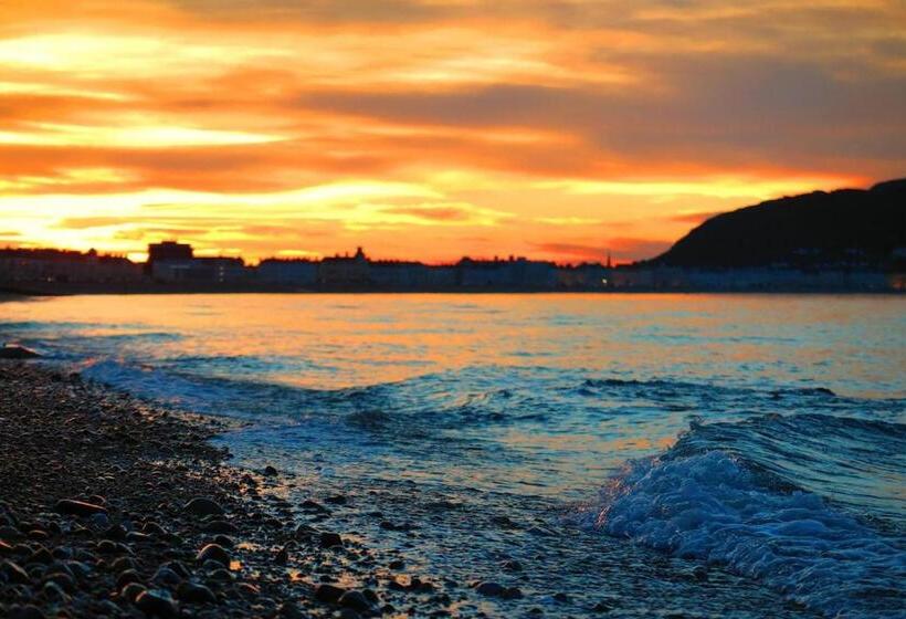 Idlewild Animal Sanctuary Farmhouse Stay   Charity