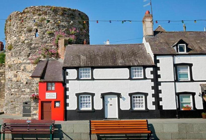 Idlewild Animal Sanctuary Farmhouse Stay   Charity