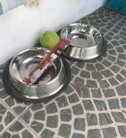 Casa Da Ti Gorda Alojamento Local Monsaraz Alentejo Portugal