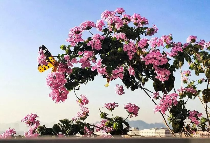 Elysinam Boutique Hotel Ha Long