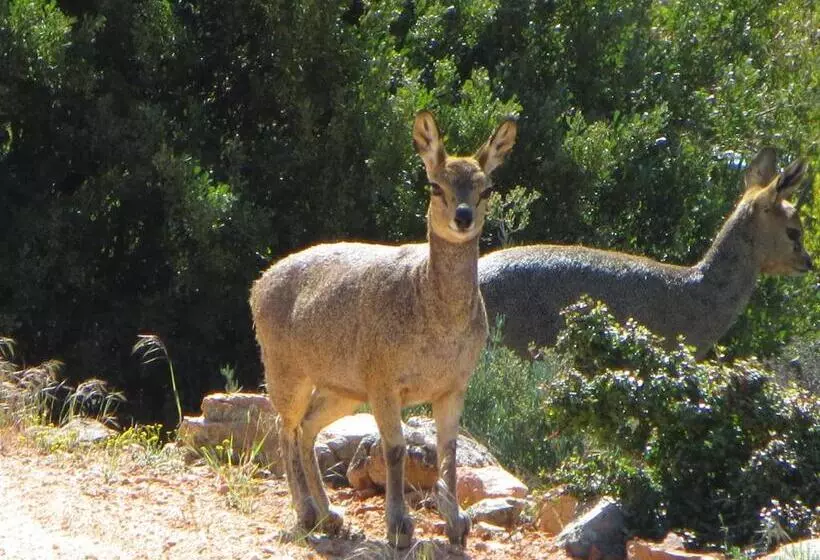 Joel S Off Grid Cottage In The Klein Karoo