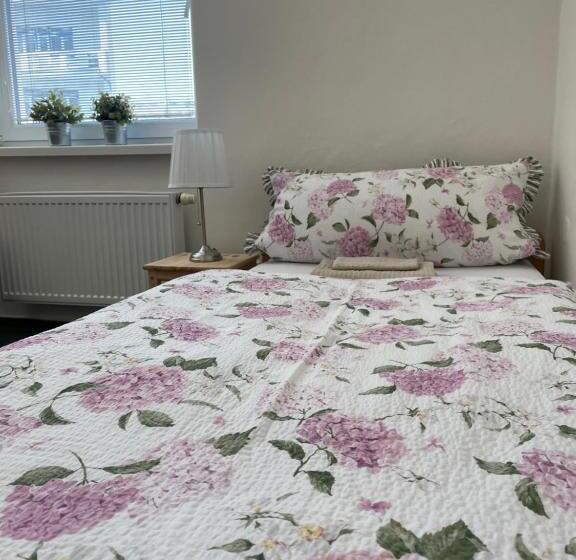 ペンション Penzion Ječmínek