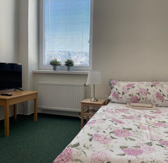 ペンション Penzion Ječmínek