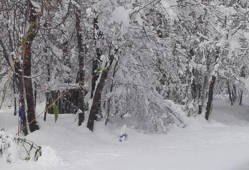 Cabaña Lodge Los Coihues Valle Las Trancas# Termas De Chillan#nevados De Chillan