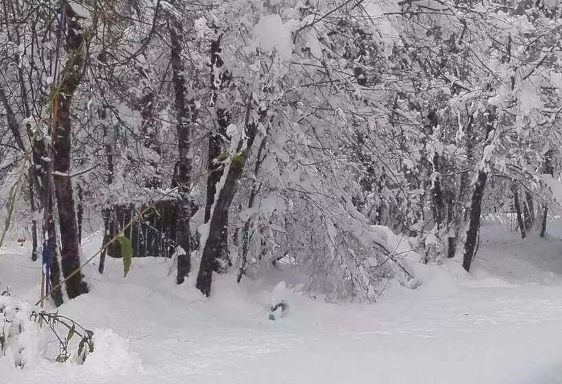 Cabaña Lodge Los Coihues Valle Las Trancas# Termas De Chillan#nevados De Chillan
