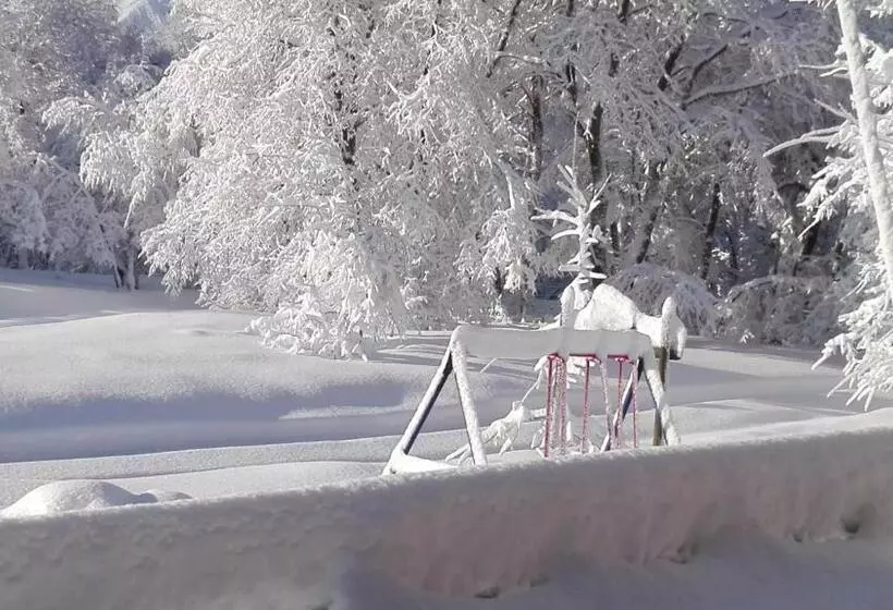 Cabaña Lodge Los Coihues Valle Las Trancas# Termas De Chillan#nevados De Chillan